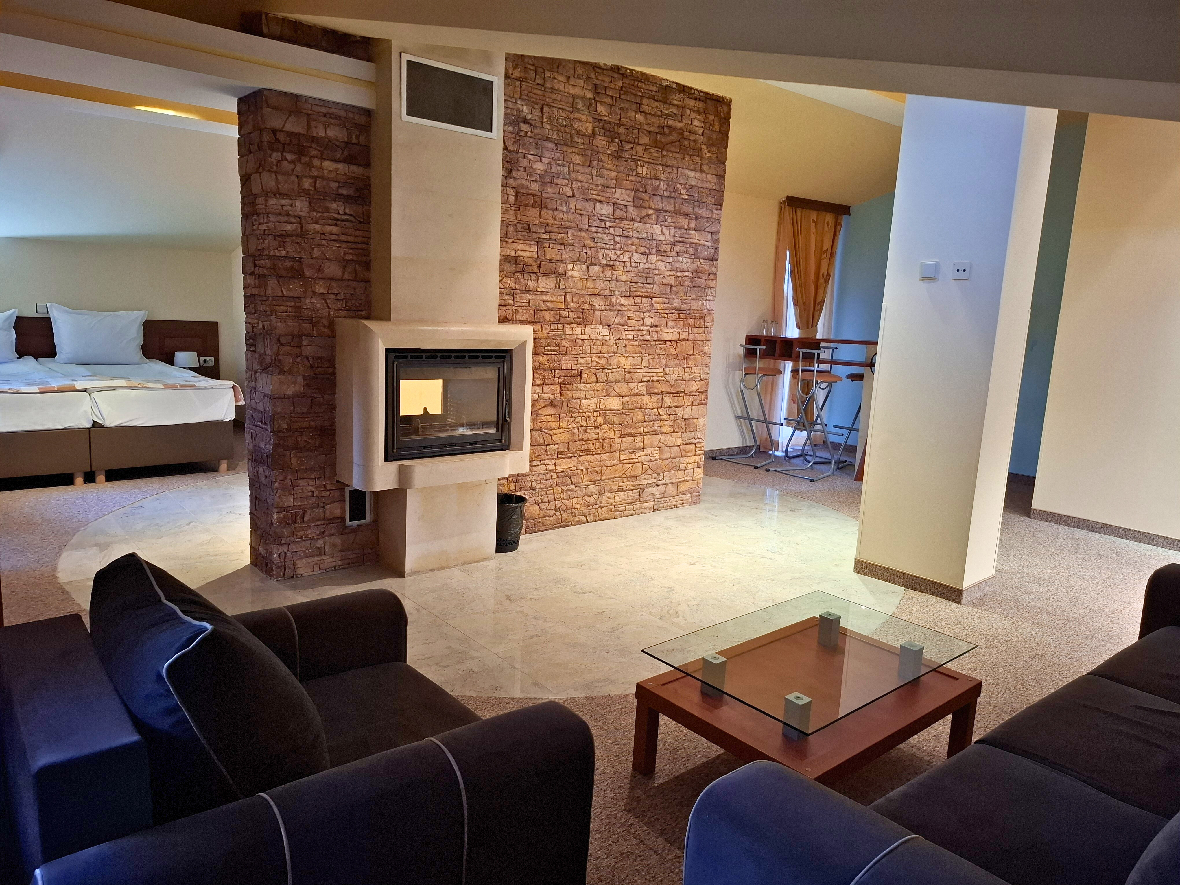 Otel Elİna Pamporovo / Büyük Daire