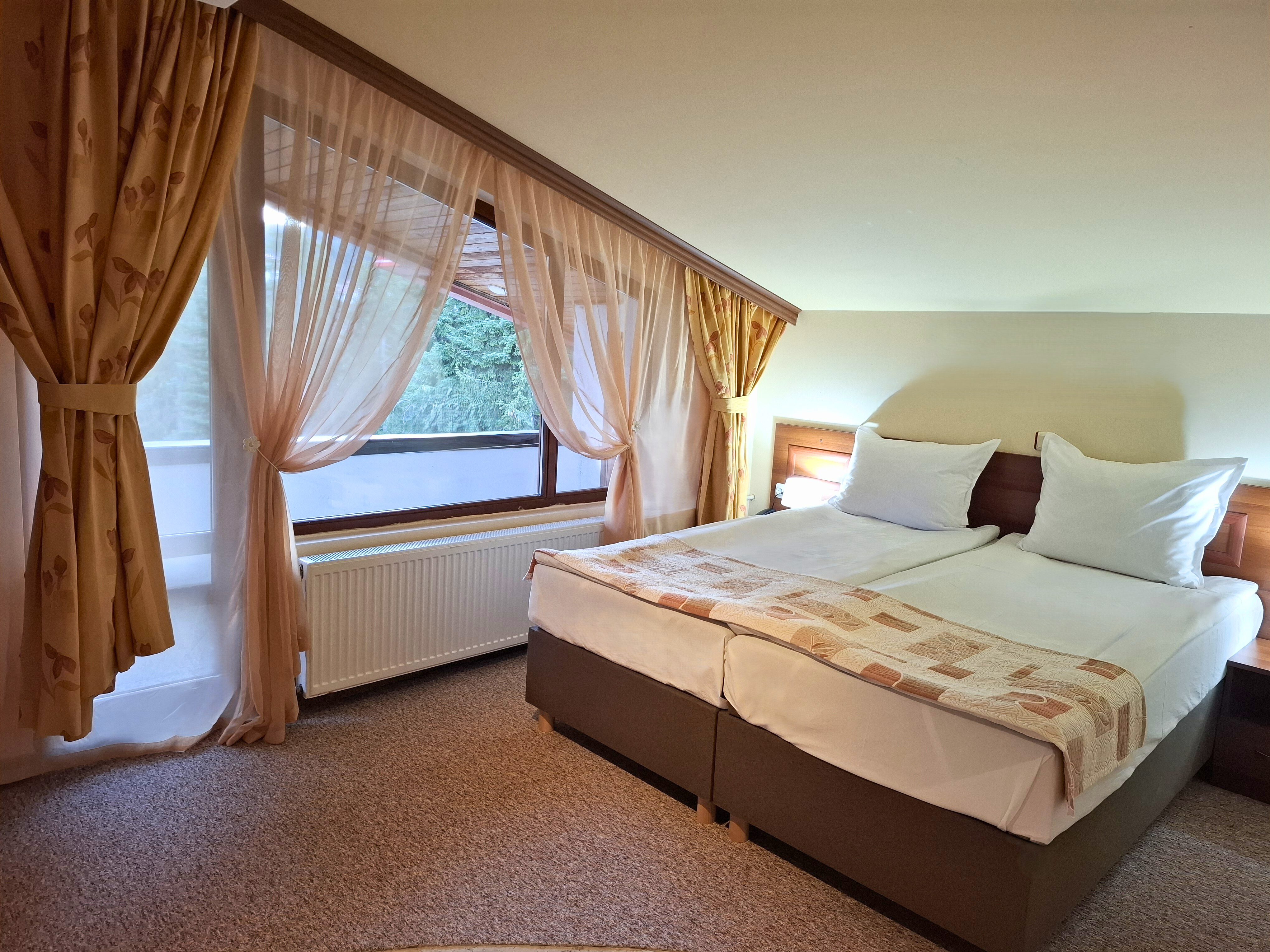 Otel Elİna Pamporovo / Büyük Daire