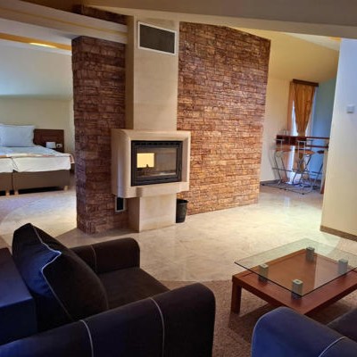 Otel Elİna Pamporovo / Büyük Daire