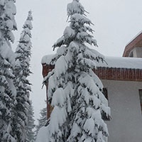 Otel Elİna Pamporovo
