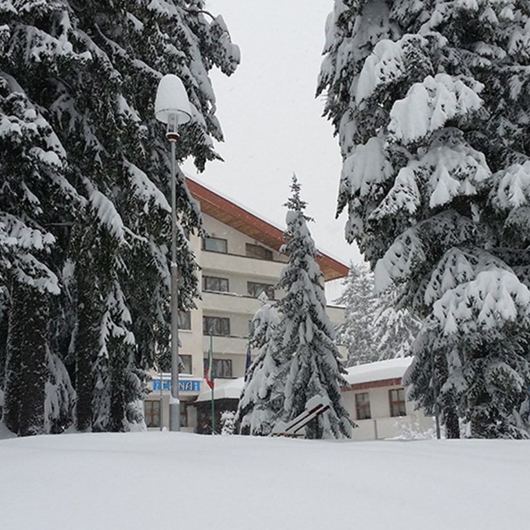 Otel Elİna Pamporovo / Galeri