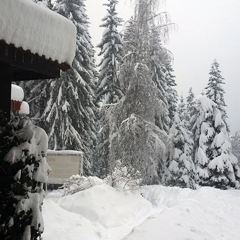 Otel Elİna Pamporovo / Galeri