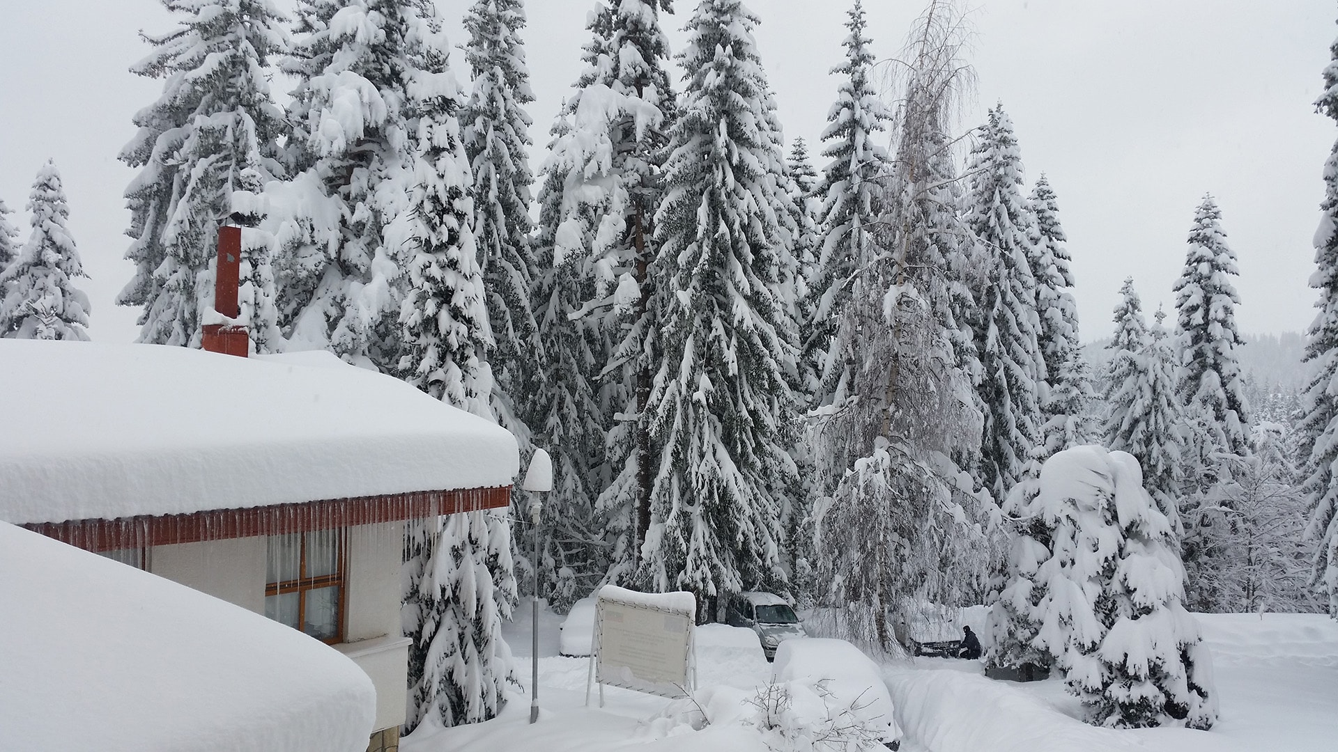 Elina Hotel Pamporovo / General Information