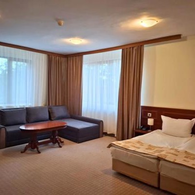 Otel Elİna Pamporovo / Küçük bir daire